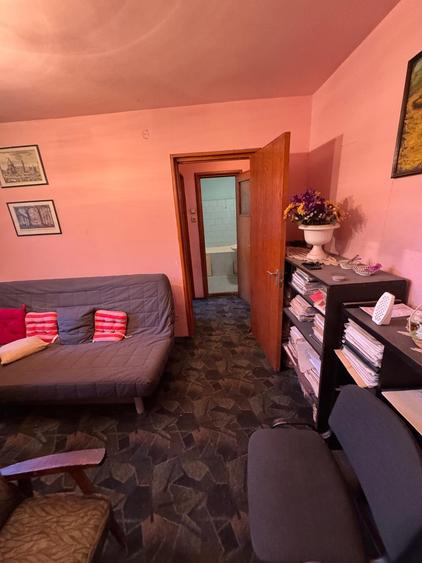 PIATA VICTORIEI ADIACENT DIN BD. TITULESCU, VERONICA MICLE - 5