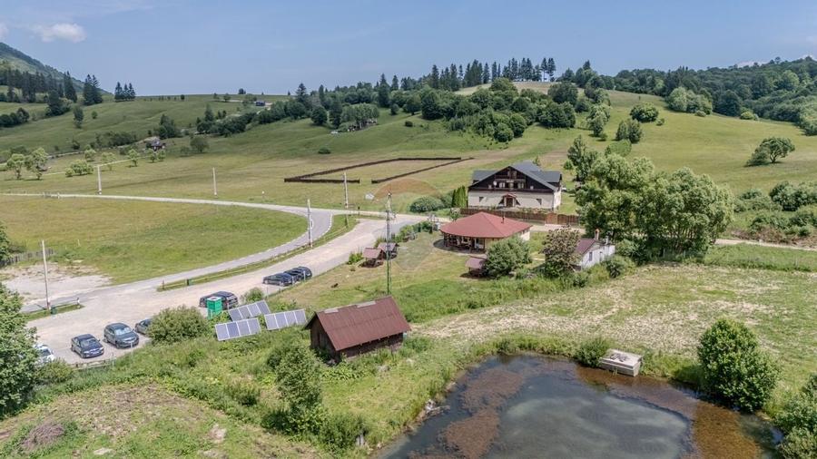 Hotel / Pensiune cu 10 camere de vanzare/Vama Buzaului - 38