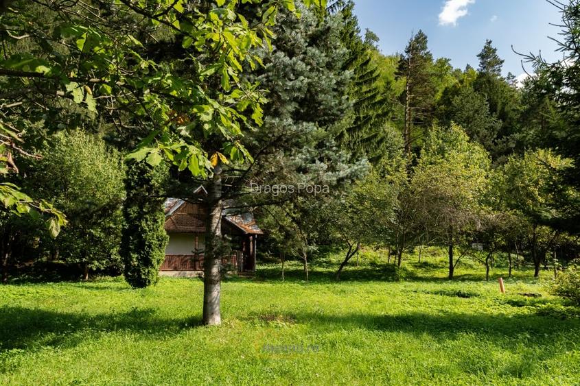 Familia ta merita casa asta - Vezi de ce e unica!
