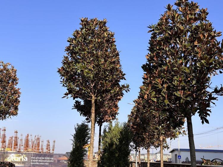 Apartament 3 camere modern | Ansamblu privat cu parc | Acces Militari - 8