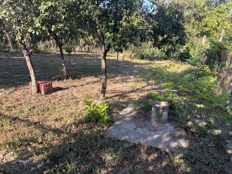Casa de vanzare in orasul Mizil,str decebal 1224 MP Nr 17 - 6