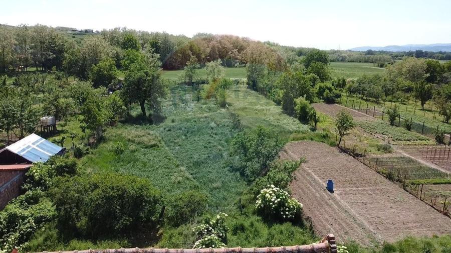 Casă individuală cu 5 camere cu Teren 2905 Mp în Ciugud