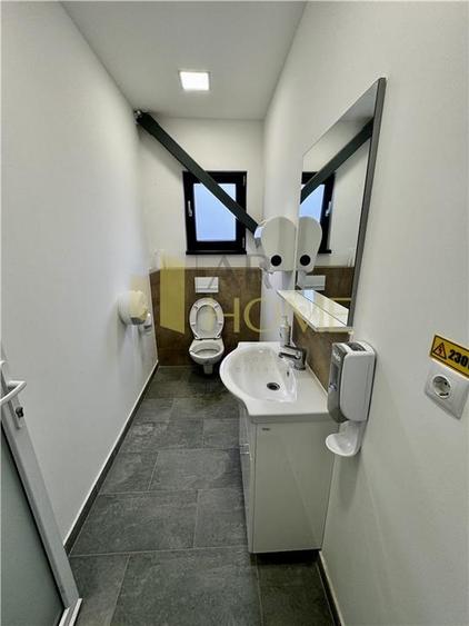 Vanzare hala industriala cu platforma betonata, in Paulestii Noi, acces tir - 11