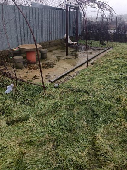 Proprietate cu 2 case, livada, vie ?i teren 1450 mp - 6