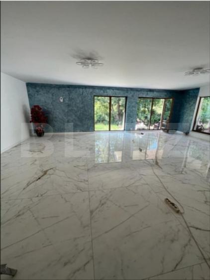 Casa de vanzare, pe un singur nivel, 170 mp + 2.300 mp teren - 3