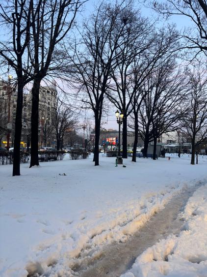 Ultracentral,fix la FANTANA MARE,panorama superba,monolit,stradal pe Bulevard - 6