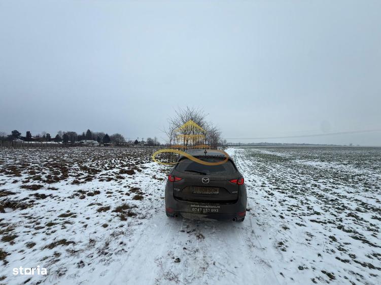 Teren agricol extravilan in Itesti de vanzare - 8