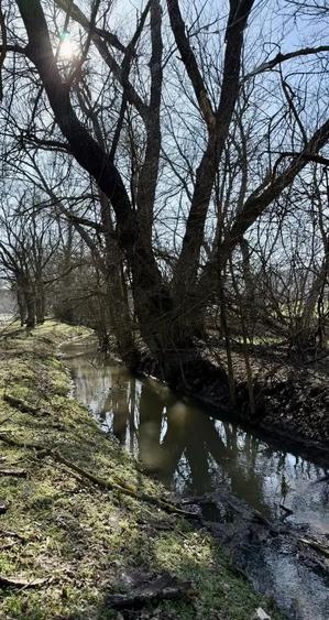 Casa de Vanzare 2000 mp - 1