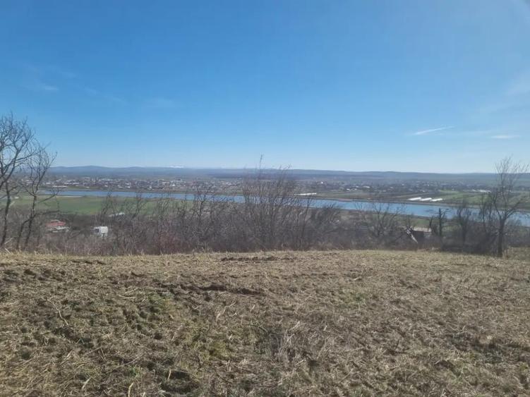 Teren de 3039 mp, în Podgoria