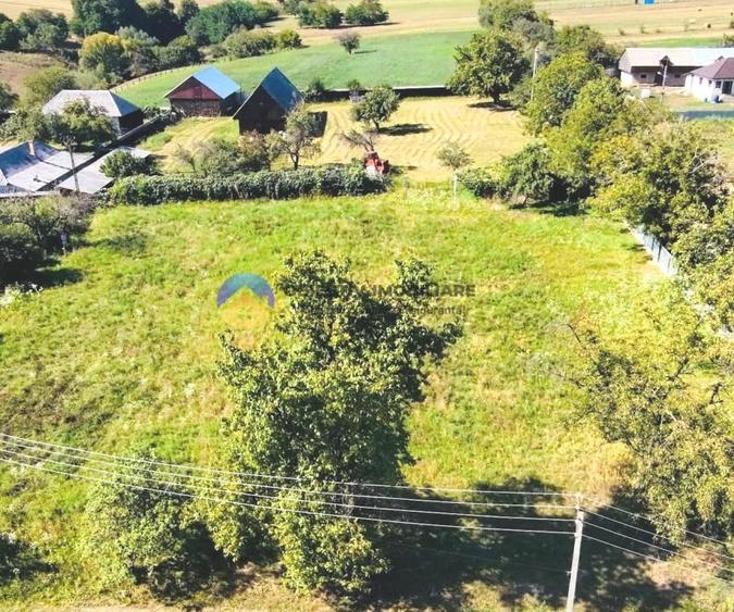 Teren intravilan de 3260 mp, în Chintinici