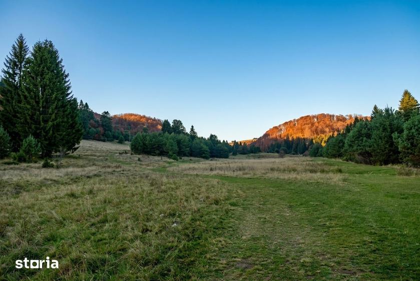Teren de 1810 mp, în Brebina