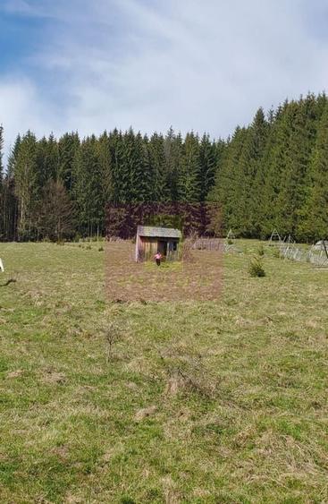Teren intravilan 2500 mp in Valea Doftanei - 1