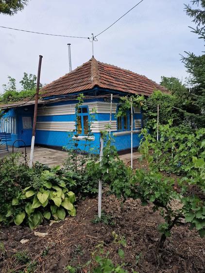 Casă cu 2 camere cu Teren 900 Mp în Cozia