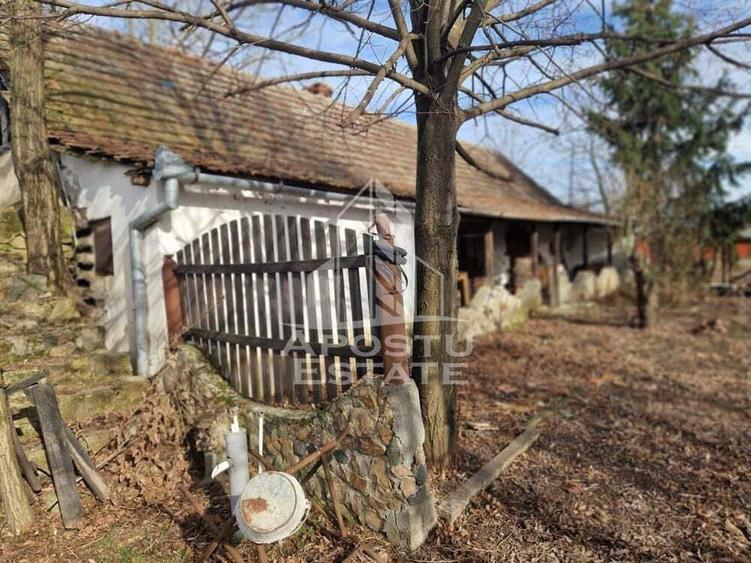 Casa individuala cu 3 camere ,teren 4222 mp in exclusivitate Dorobanti - 6