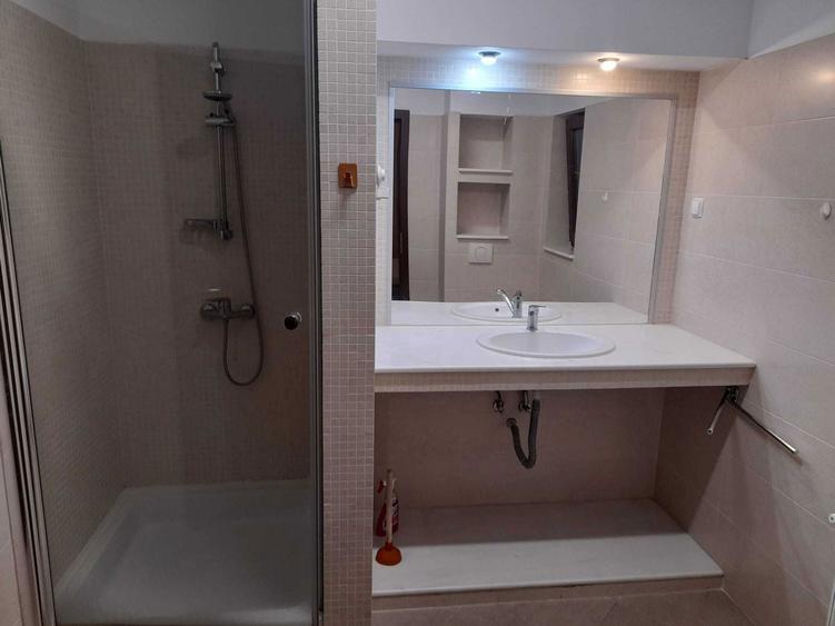 Proprietar inchiriez Casa individuala noua utilata/mobilata in Domnesti IF - 7