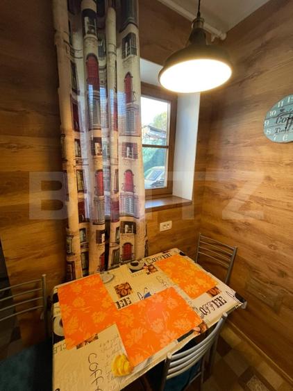 Apartament in curte propie, mobilat, renovat - 4