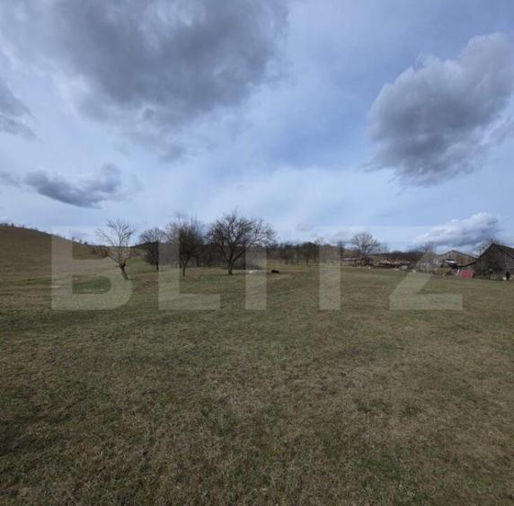 Teren intravilan de vanzare, 28 de ari, zona Herina, Bistrit - 1