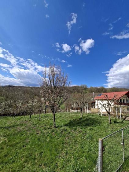 Teren intravilan de vanzare - 982 mp - Fedelesoiu - 7