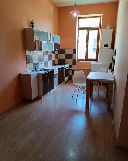 Apartament 1 camera ,et 1, Pietonal - 8