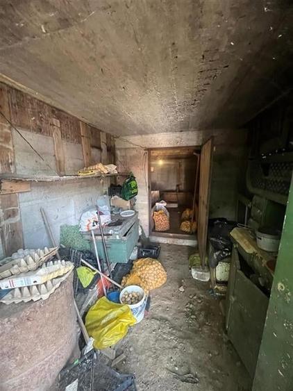 RECO, Casa cu 9168 mp teren intravilan, Sistera, Cetariu, Aproape de Oradea - 12