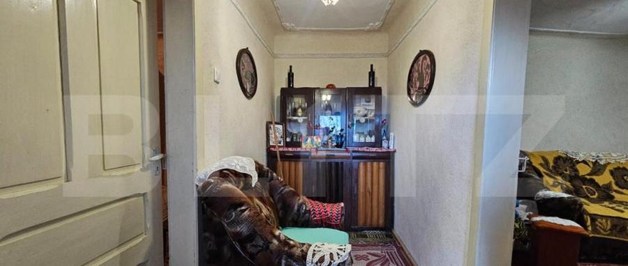 Casa rustica de vacanta (62mp) in sat Magura cu 1000mp teren - 14