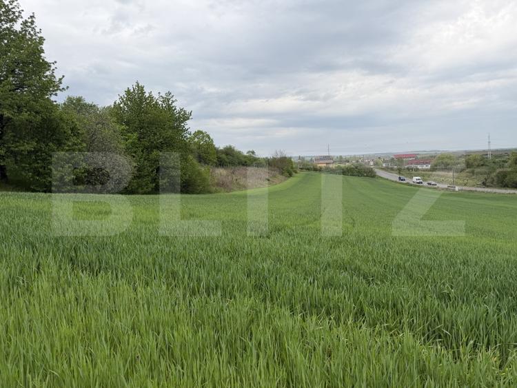 Teren Construcții intravilan de 12500 mp, în Bobota