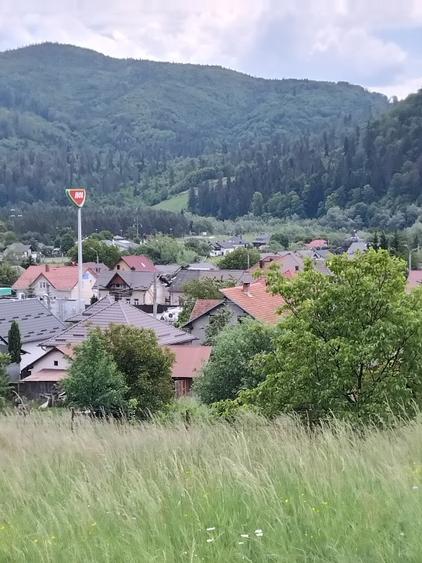 Vând lot pentru casă  sau cabană  - 5