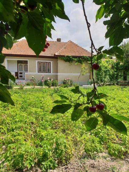 Proprietar unic vând direct, casă/gospodărie completă în comuna Adâncata, IL - 1