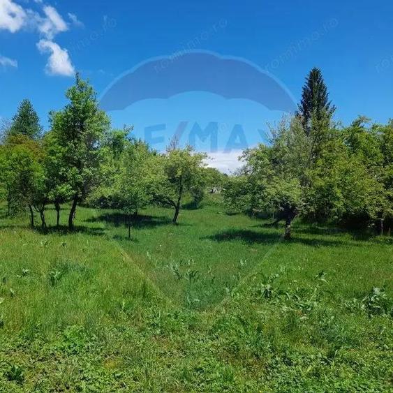 Casa / Vila cu 2 camere de vanzare - 2