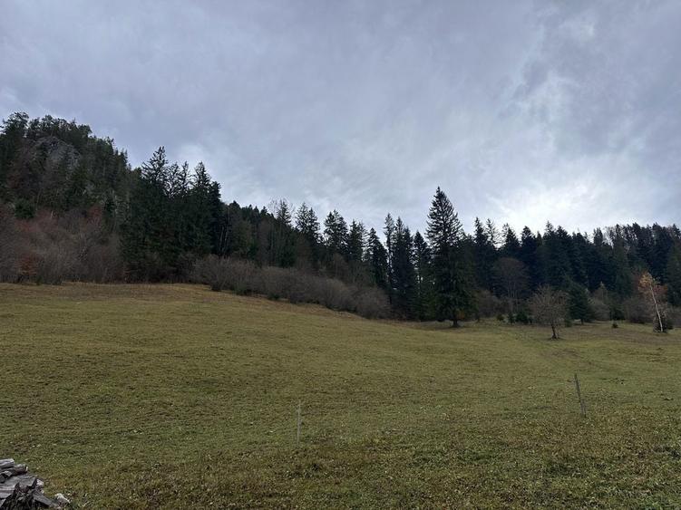 Vand cabana si teren 8ha - 3