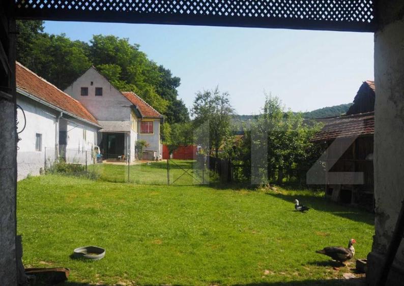 Casa off-grid 5 camere Sangatin - 3