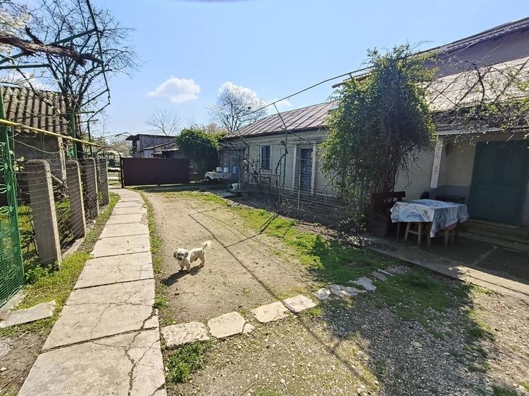 Casa de vanzare in Rosiori de Vede Teleorman (doua case/curte de 1500 - 2