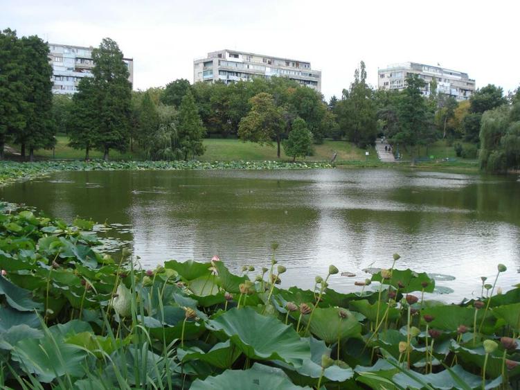 De inchiriat apartament 3 camere Parcul Circului cu vedere la parc - 3