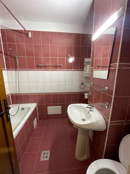 Apartament de închiriat, 2 camere, 55 mp, Plopilor zona Parcul Iuliu Hațieganu - 4