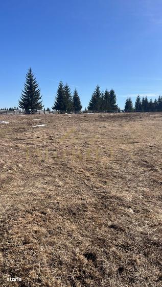 Teren Intravilan de 1000 mp , zona centrala , Copcea , Marisel - 3