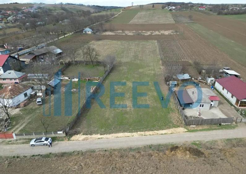 Teren de vanzare, Sat Bazga, Com. Horge?ti, Bacau - 2