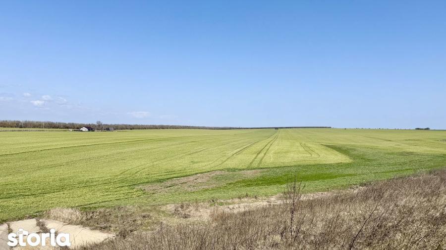 Avans 500 euro - Teren de investitie la Mare! Statiunea Costinesti 444 - 4