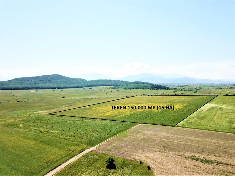 Teren Bod - ideal dezvoltare cartier rezidential - 7