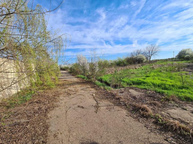 Teren intravilan - loc de casa Mihailesti - 5