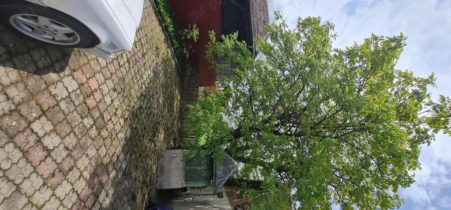 Vand sau Schimb cu apartament -Casa Com. Gurahon? sat Bontesti -3000mp - 4