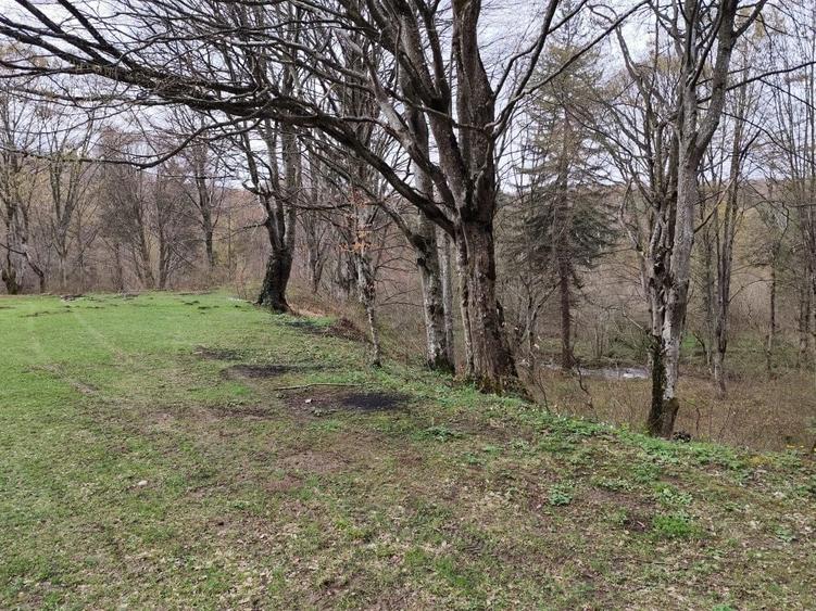 Vand Teren Valea Avrig - 6