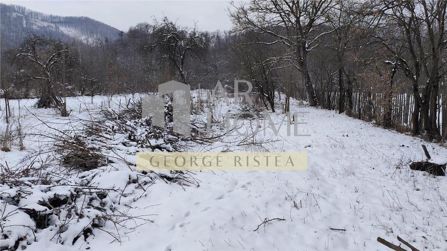 Teren 3310 mp + Casa Batraneasca Bobolia - 9