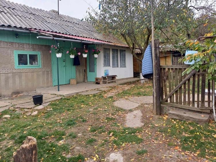 Casa batraneasca +teren 3000 mp la doar 18 km de Oras ! - 6