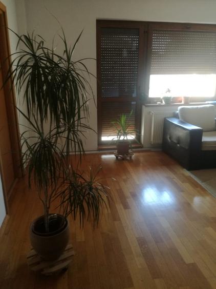 Metrou Parc Oraselul Copiilor, proprietar - 4