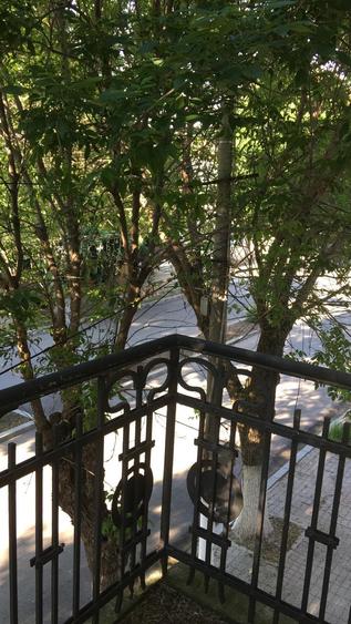 Ultracentral,vila S+P+E,faleza Dunarii,langa parc,Primaria Corabia,teren=1137mp - 18