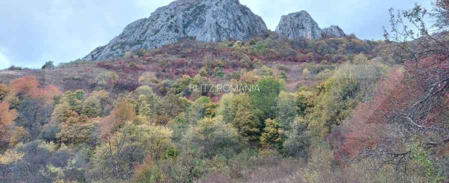 Teren extravilan 16121 mp apa si curent, ideal pentru cabane Teren extravilan 16121 mp apa si curent, ideal pentru cabane