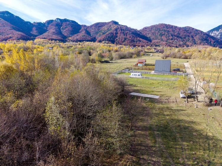 Teren intravilan 2500mp Tohanita Zarnesti- ideal casa de vacanta - 9