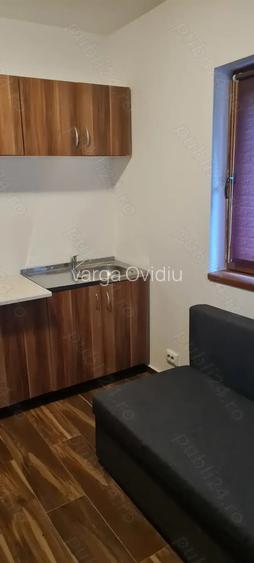 Proprietar, zona Aradului