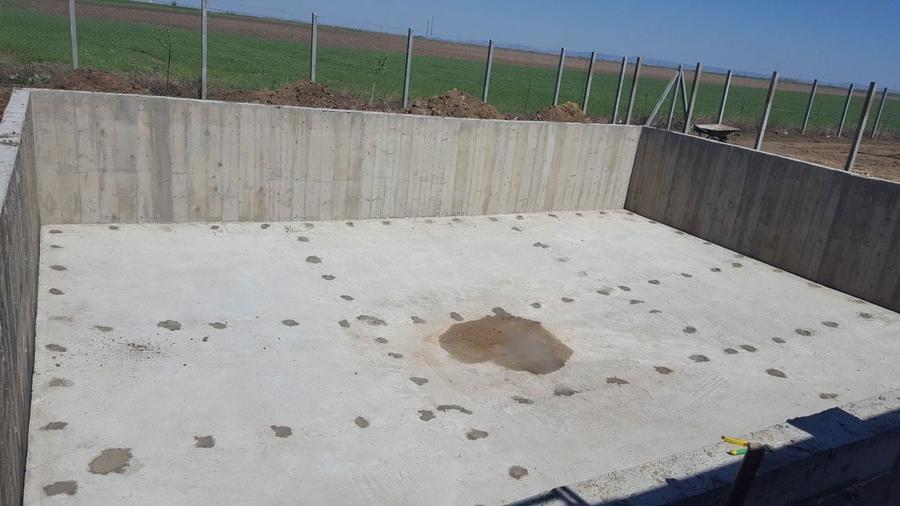 URGENT ..Teren agricol Ferma de mure , zmeura si pomi fructiferi - 6