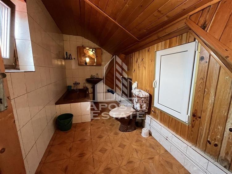 Casa in curte comuna cu acces separat langa Colegiul Banatean - 9